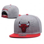 Cappellino Chicago Bulls Grigio Rosso